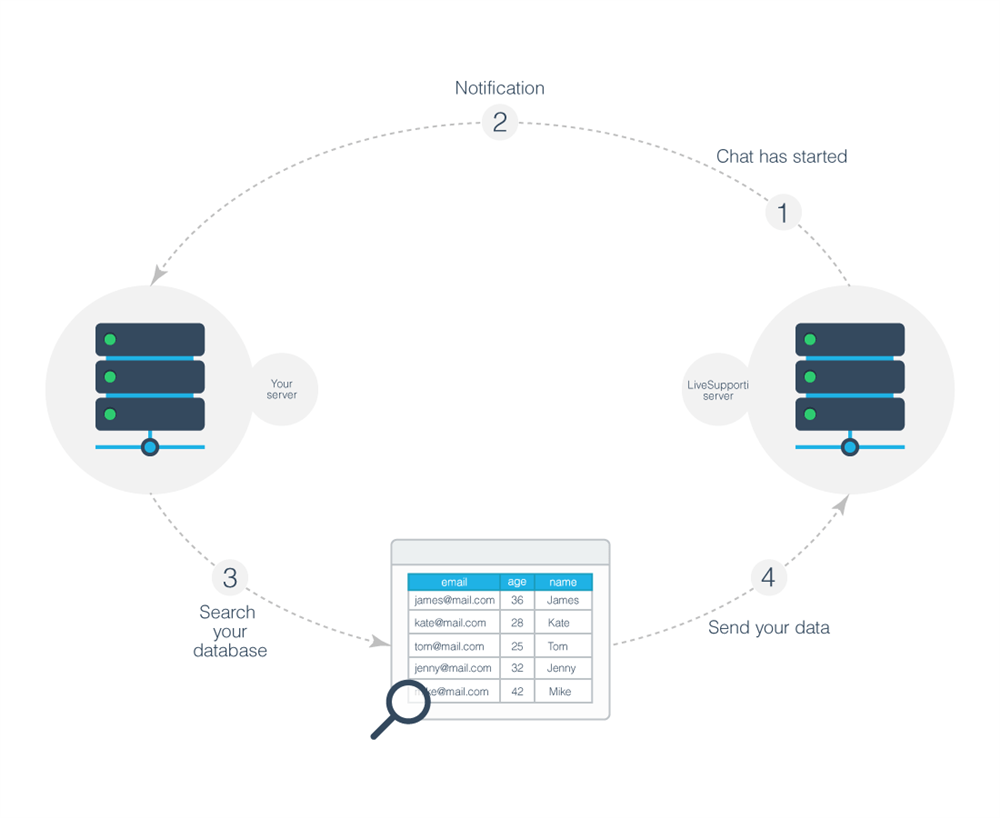 livesupporti-webhooks-custom-data.png